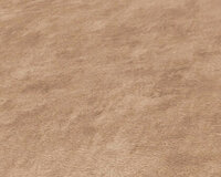 AS Creation Terra - 38922-9 - 389229 Beige / Bruin
