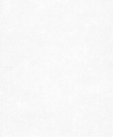 HookedOnWalls Passe Partout 2026 Casa Blanca (incl. Gratis Lijm*) 29601