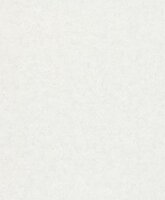 HookedOnWalls Passe Partout 2026 Casa Blanca (incl. Gratis Lijm*) 29626