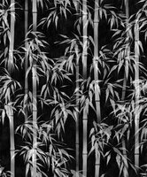 Noordwand Mona 81672 - Zwart / Grijs