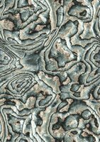 Noordwand Mona 81691 - Grijs / Beige