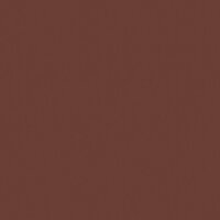 Noordwand The New Amsterdam Book 59713 - Rood