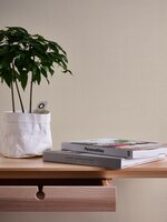 AS Creation Terra / 2117-67 - 211767 Beige / Bruin