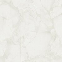 78657-4 Elite of Shades  (1,06m breed!)
