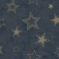 Dutch Wallcoverings Adventure Awaits Blauw Goud 14061