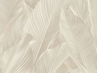 Dutch First Class Tahiti Banya 13302FC Creme