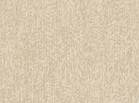 Dutch First Class Tahiti Kapia 13311FC Beige