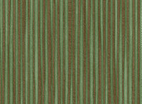 Dutch First Class Tahiti Halcyon 13341FC Groen
