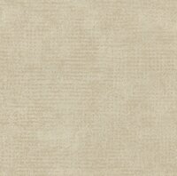 Arte Edition ED2019  (incl. Gratis Lijm*)