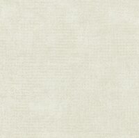 Arte Edition ED2021  (incl. Gratis Lijm*)