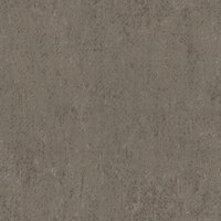 Arte Edition ED3003  (incl. Gratis Lijm*)