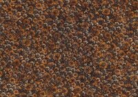 Arte Virginia's Garden VIR6501  (incl. Gratis Lijm*) Beige / Bruin / Zwart / Oranje