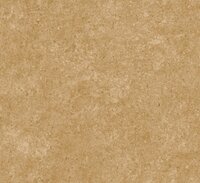 Arte Kaolin 30311  (incl. Gratis Lijm*) Beige
