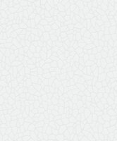 Arte Laser 9048  (incl. Gratis Lijm*)