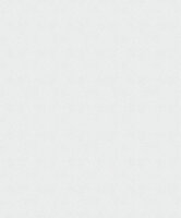 Arte Laser 9054  (incl. Gratis Lijm*)