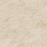 AS Creation Profitex 2022 39036-1 / 390361 Creme