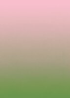 Esta Home Selection 159551 Roze