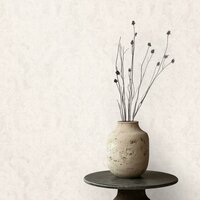 Noordwand Cerra 27623 Wit