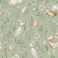 Dutch First Class World of Imagination DL27547