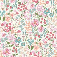 Dutch First Class World of Imagination DL27561