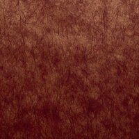 Casamance Impulsion 71880929 (incl. Gratis Lijm*) Rood