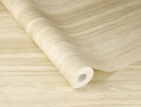 Rasch Factory VI 497335 Beige