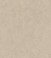 Rasch Factory VI 498431 Beige