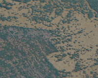 AS Creation Vibes &amp; Styles 79019-2 Groen