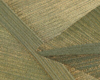 AS Creation Vibes &amp; Styles 79039-4 Groen