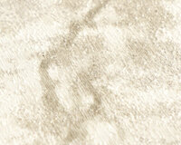 AS Creation Vibes &amp; Styles 79200-3 Beige