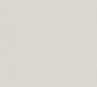 AS Creation PintWalls III 38903-2 Grijs