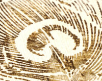 AS Creation PintWalls III 79186-5 Beige