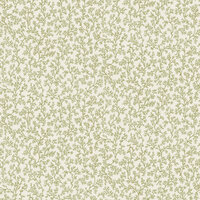 Dutch First Class Wanderlust 92040 (incl. Gratis Lijm*) Groen