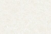 Dutch Wall Decor Philipp Plein 2 Z81006