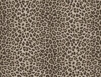 Dutch Wall Decor Philipp Plein 2 Z81028