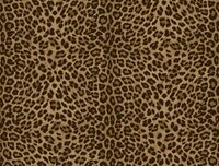 Dutch Wall Decor Philipp Plein 2 Z81029