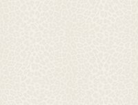 Dutch Wall Decor Philipp Plein 2 Z81030