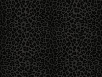 Dutch Wall Decor Philipp Plein 2 Z81031