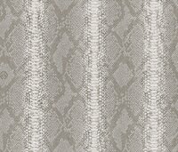 Dutch Wall Decor Philipp Plein 2 Z81032