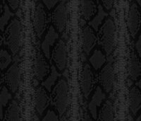 Dutch Wall Decor Philipp Plein 2 Z81034