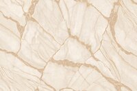 Dutch Wall Decor Philipp Plein 2 Z81040