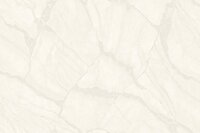 Dutch Wall Decor Philipp Plein 2 Z81042