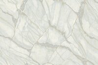 Dutch Wall Decor Philipp Plein 2 Z81043