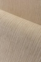 HookedOnWalls BOSSA NOVA 22430 RIO