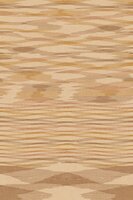 Arte INDIENNE 18332 KASHMIR