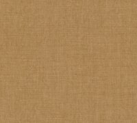 Arte INDIENNE 18340 MANDU