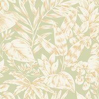 Caselio Elea ELEA107367046 Groen