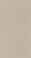 Caselio Natt&eacute; 2 NAE2101561811 Beige