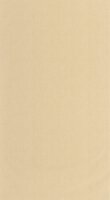 Caselio Natt&eacute; 2 NAE2101571050 Beige