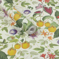 Dutch First Class The Bloom Collection  100307OL